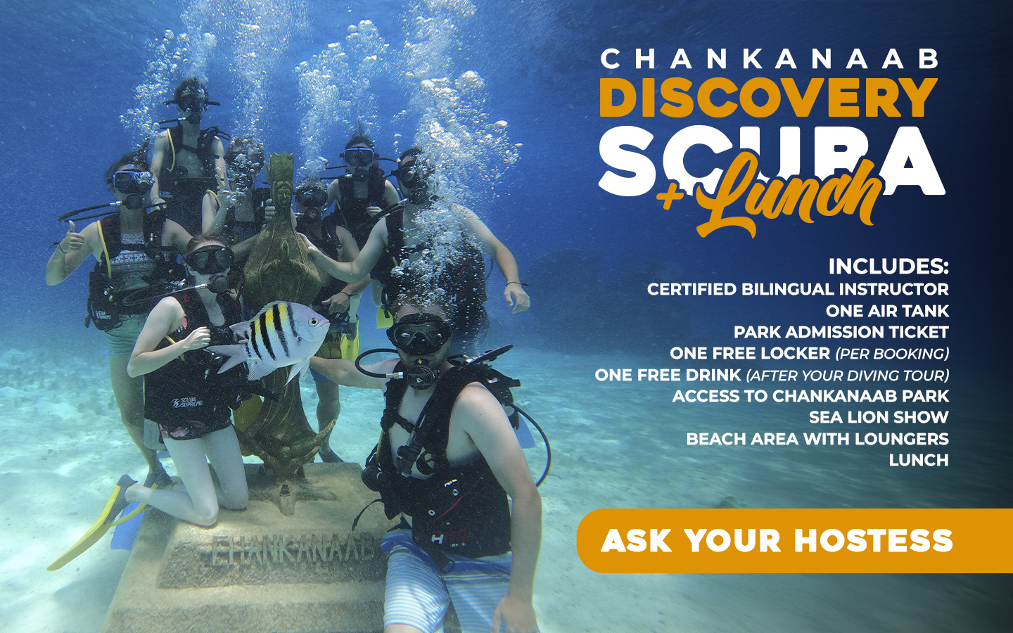 scuba dive cozumel - View 1