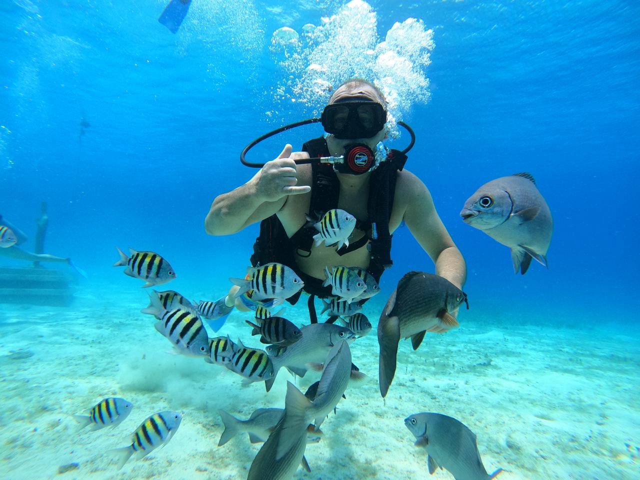 scuba dive cozumel - View 1