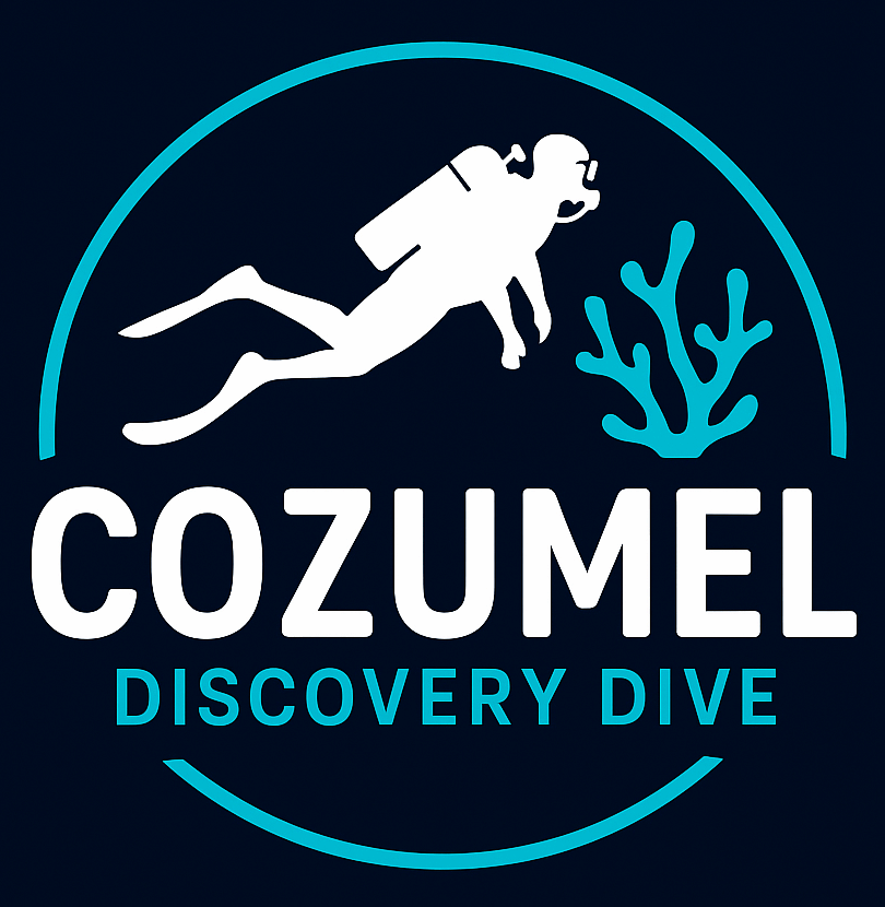 Scuba Dive Cozumel