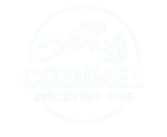 Scuba Dive Cozumel