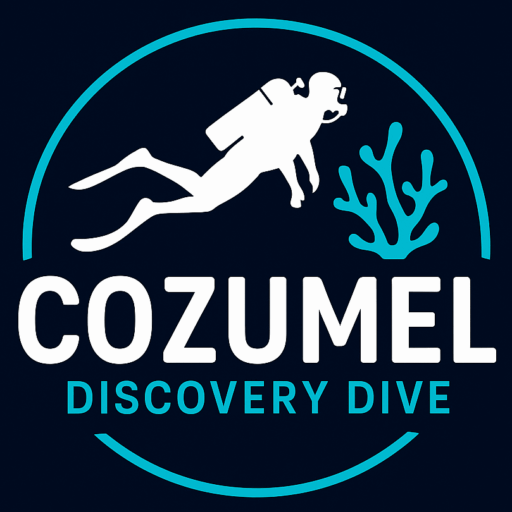 Scuba Dive Cozumel