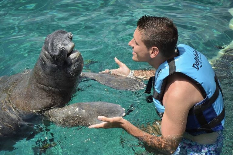 Manatee or Sea Lion Interaction